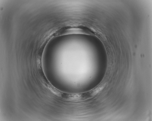 X0000076090288200609291234