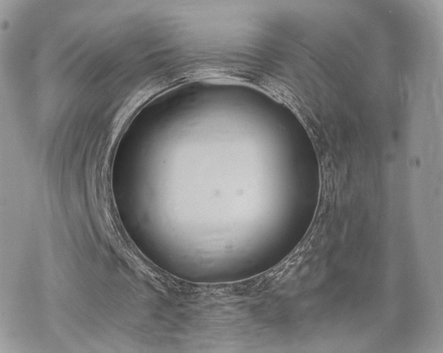 X0000076090289200609291233