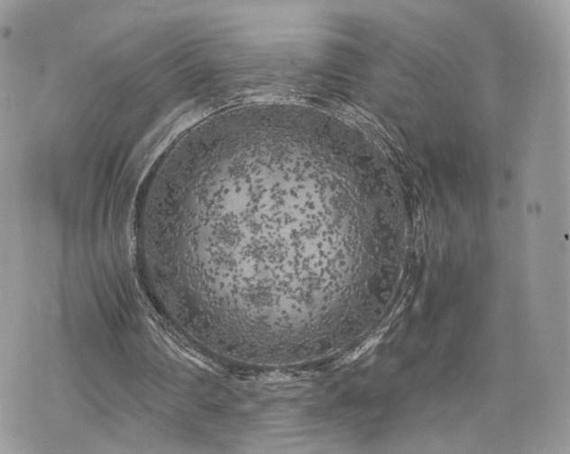 X0000076090290200609291233