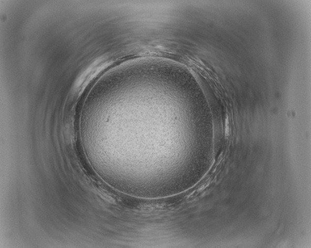 X0000076090291200609291233