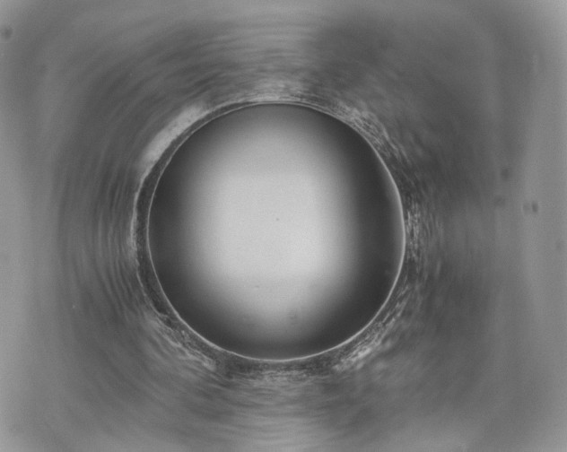 X0000076090292200609291233