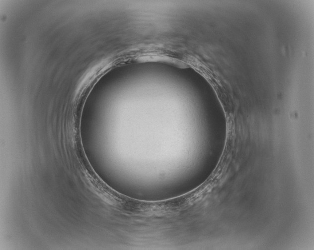 X0000076090293200609291233