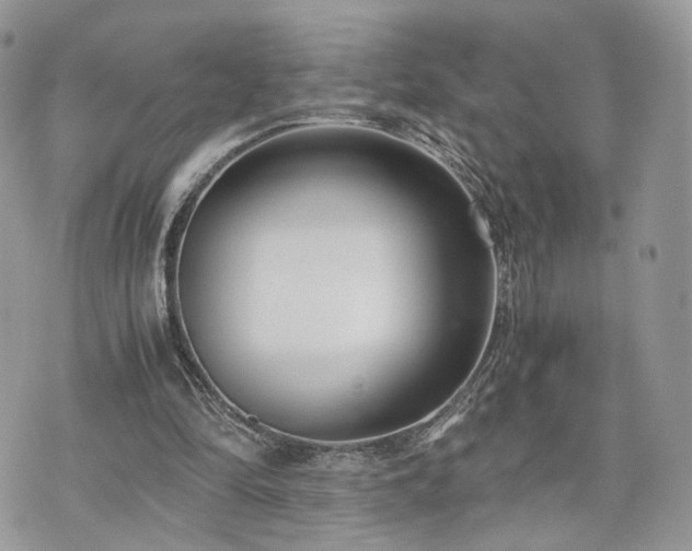 X0000076090294200609291233