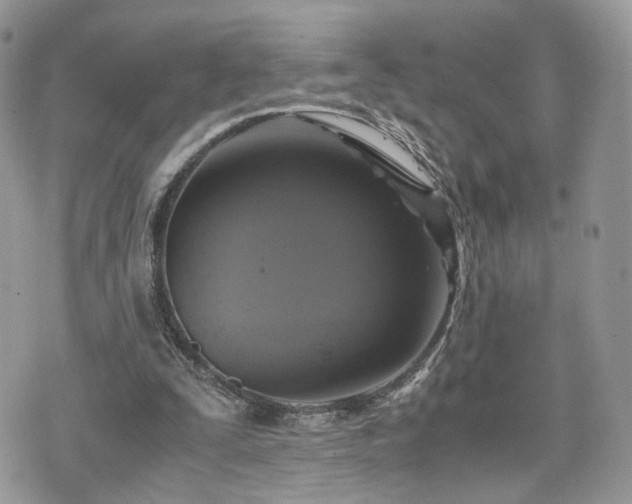 X0000076090295200609291233