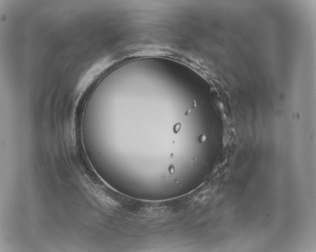 X0000076090296200609291233