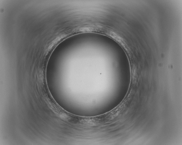 X0000076090297200609291233