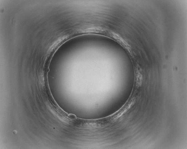 X0000076090298200609291233