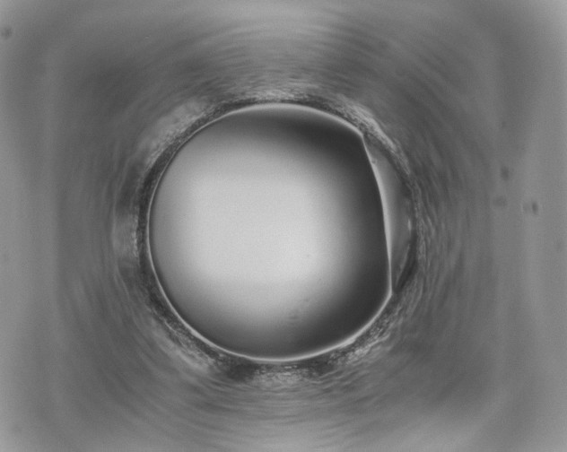 X0000076090299200609291233