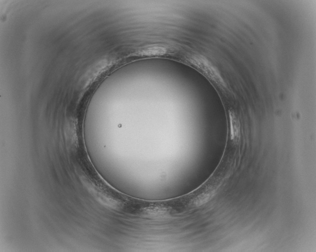 X0000076090300200609291233