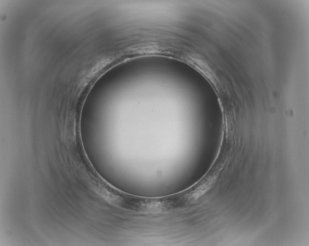 X0000076090301200609291233