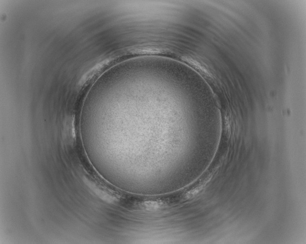 X0000076090302200609291233