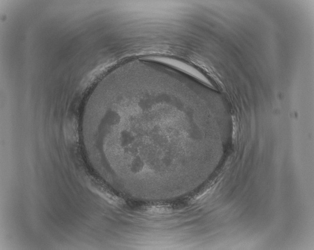 X0000076090303200609291233