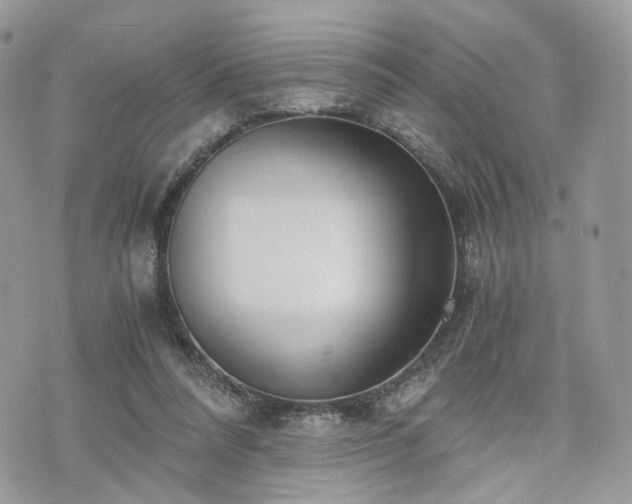 X0000076090304200609291233