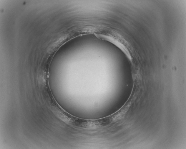 X0000076090305200609291233