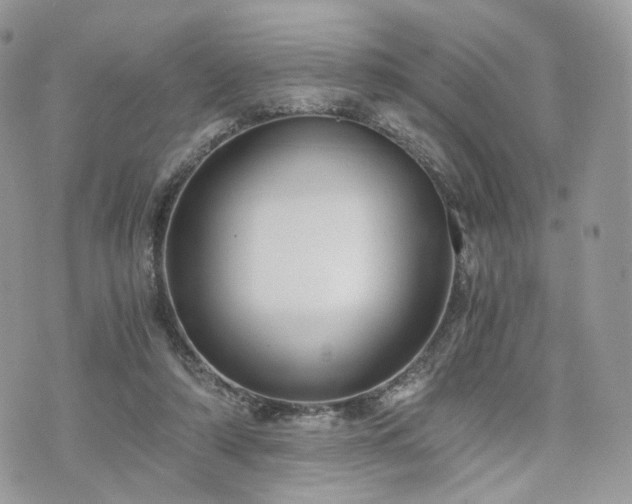 X0000076090306200609291233