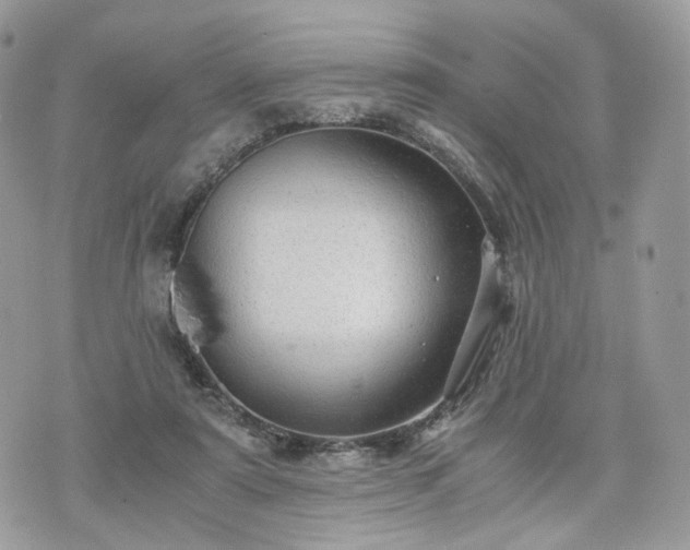 X0000076090307200609291233