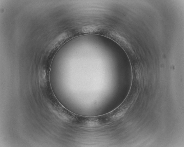 X0000076090308200609291233