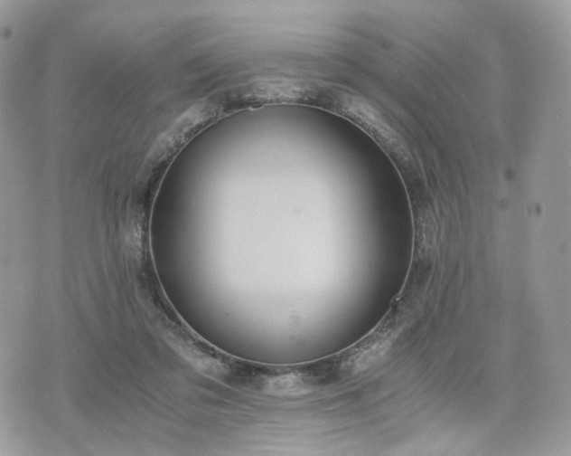 X0000076090309200609291233