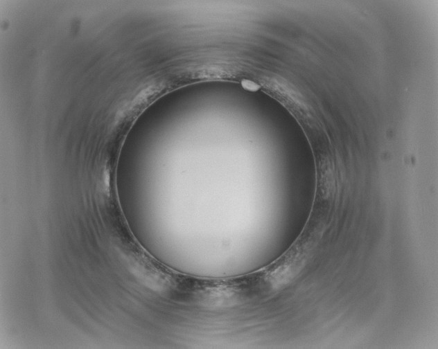 X0000076090310200609291233