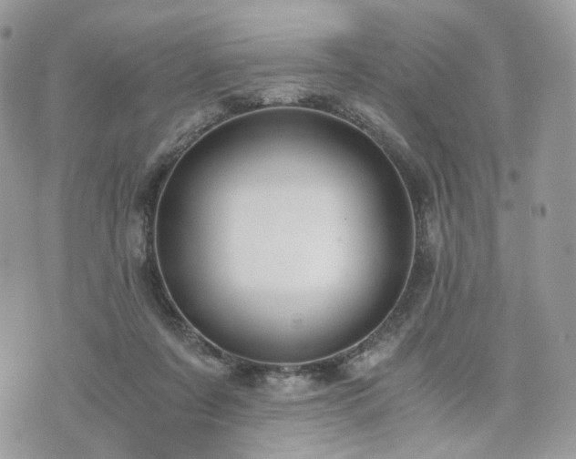 X0000076090311200609291233