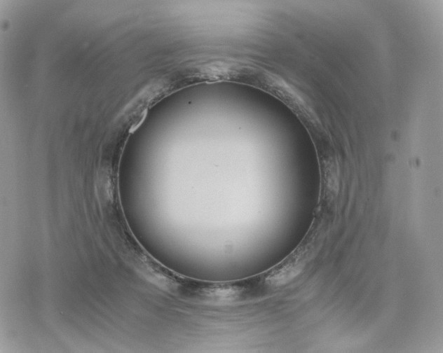 X0000076090313200609291233