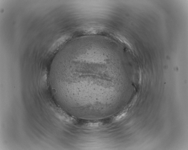 X0000076090314200609291233