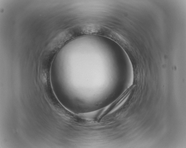 X0000076090315200609291233