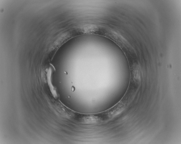 X0000076090316200609291233