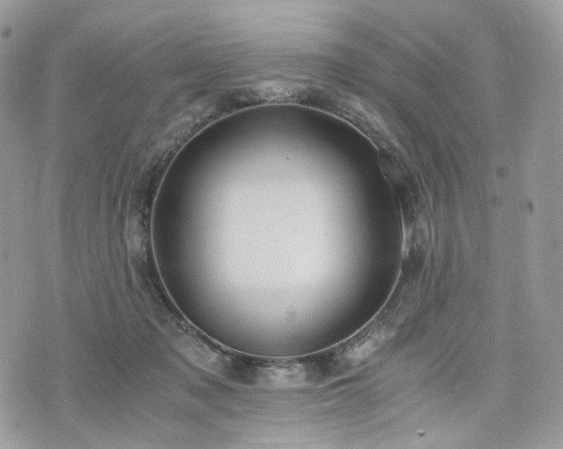 X0000076090317200609291233