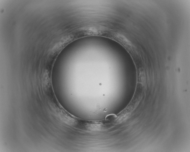 X0000076090318200609291233