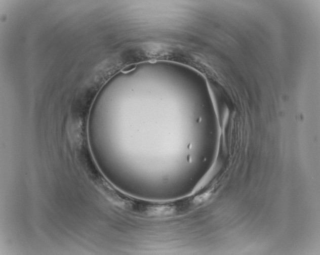 X0000076090319200609291233