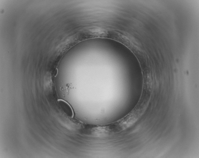 X0000076090320200609291233