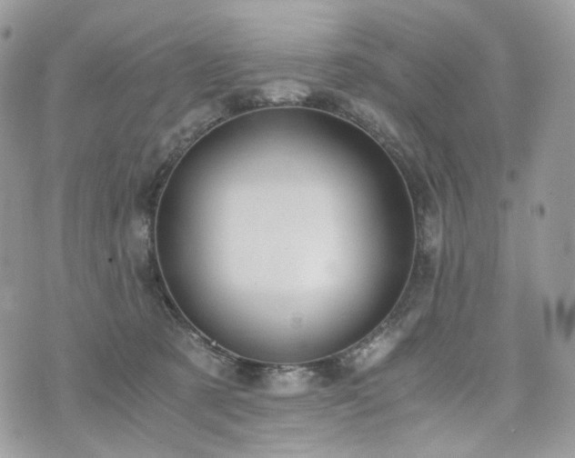 X0000076090321200609291233