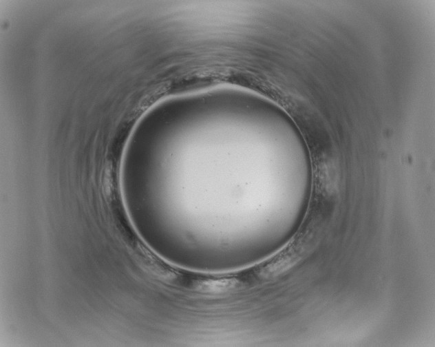 X0000076090323200609291233