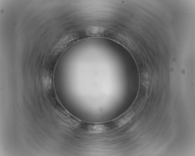 X0000076090324200609291233