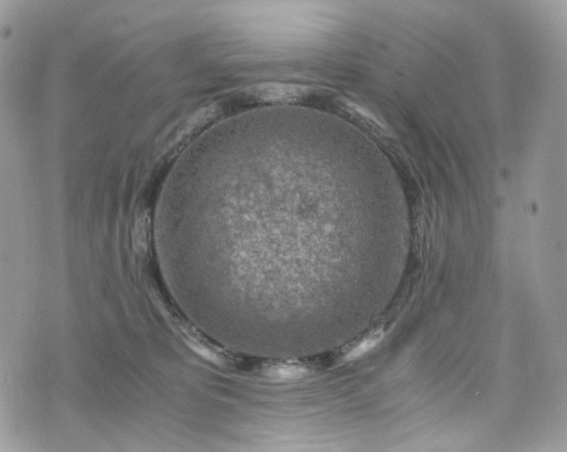 X0000076090325200609291233