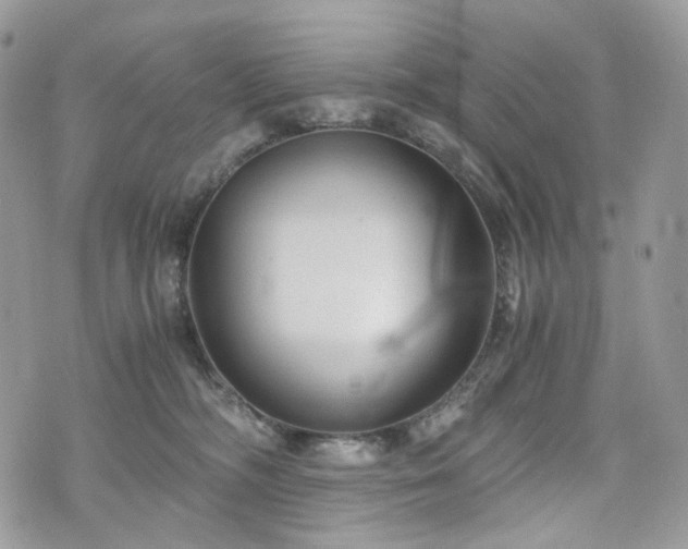 X0000076090326200609291233