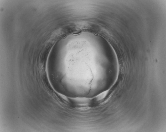 X0000076090327200609291233