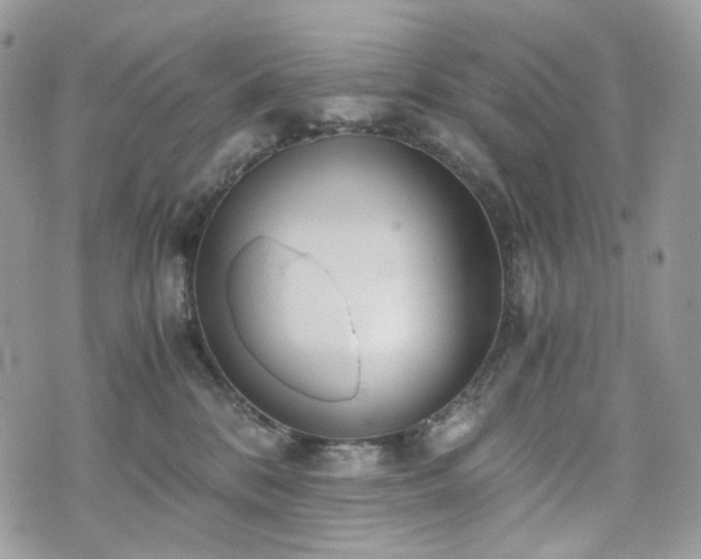 X0000076090328200609291233