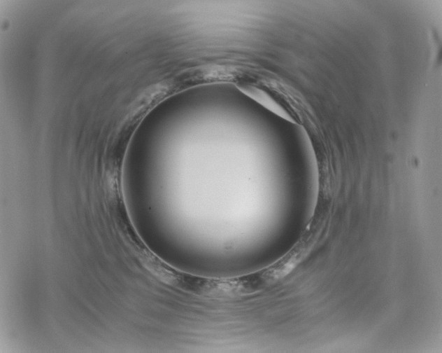 X0000076090329200609291233