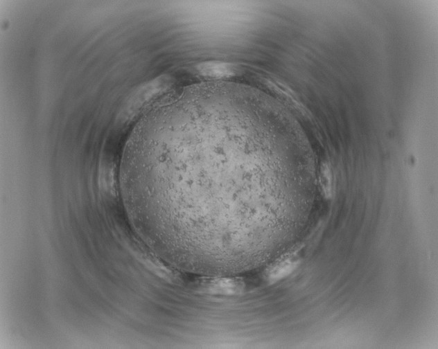 X0000076090330200609291233