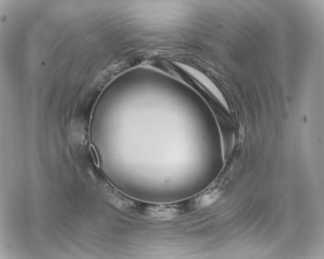 X0000076090331200609291233