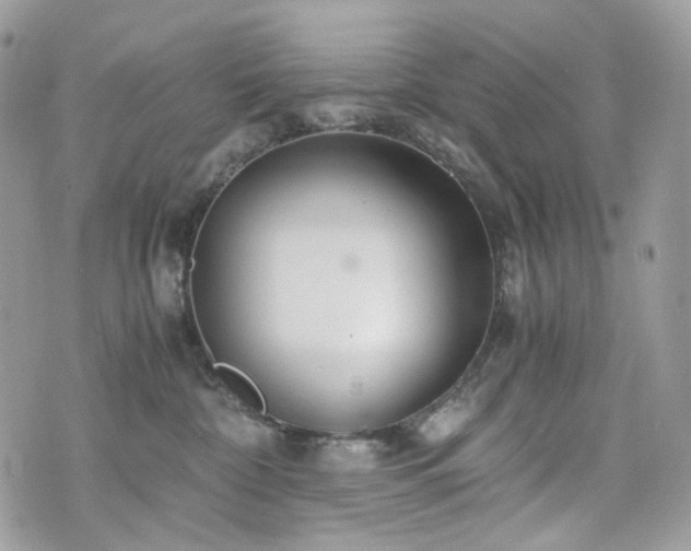 X0000076090332200609291233