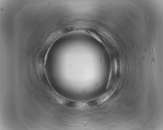 X0000076090333200609291233