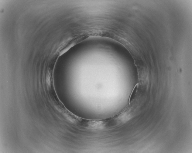 X0000076090334200609291233