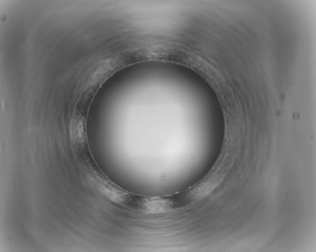 X0000076090336200609291233