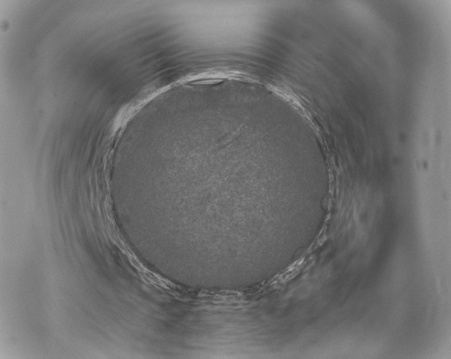 X0000076090337200609291232