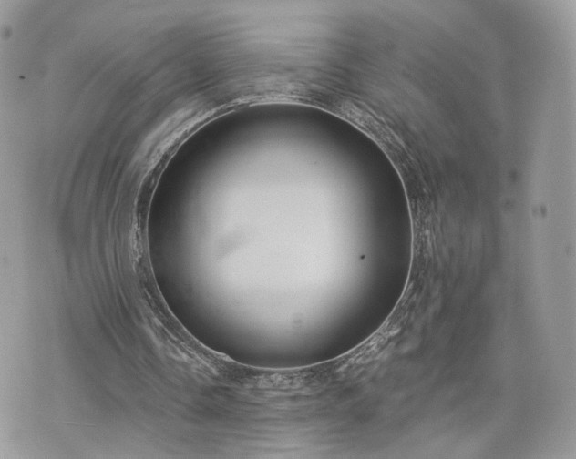 X0000076090338200609291232