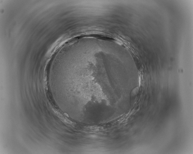 X0000076090339200609291232