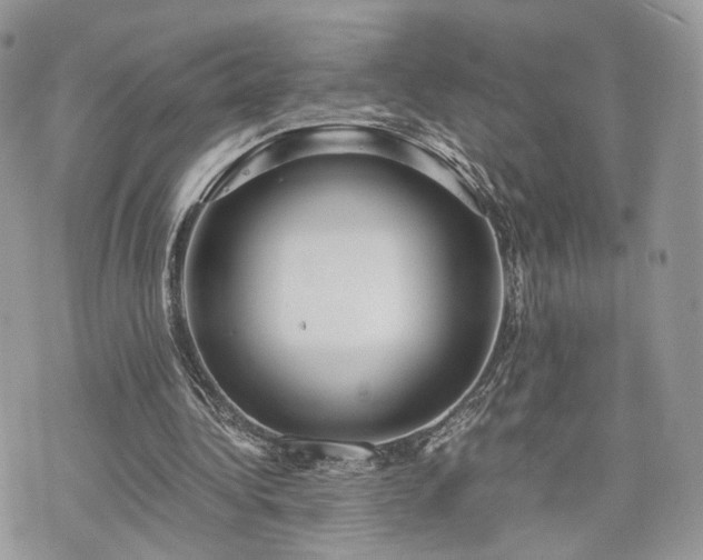 X0000076090340200609291232